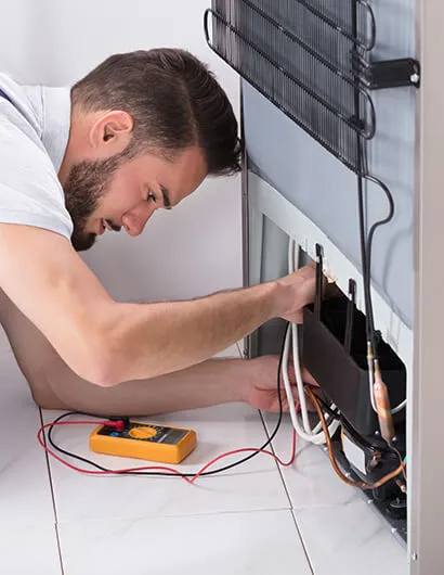 ballantyne fridge repair services